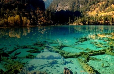 Turquoise Lake, Jiuzhai Valley National Park, China