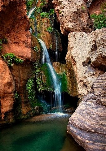 by Suzanne AZICIT on Flickr.Elves Chasm in Grand Canyon, Arizona.