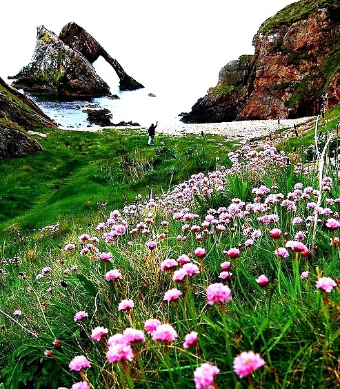 Bow Fiddle Rock on Moray coast, Scotland