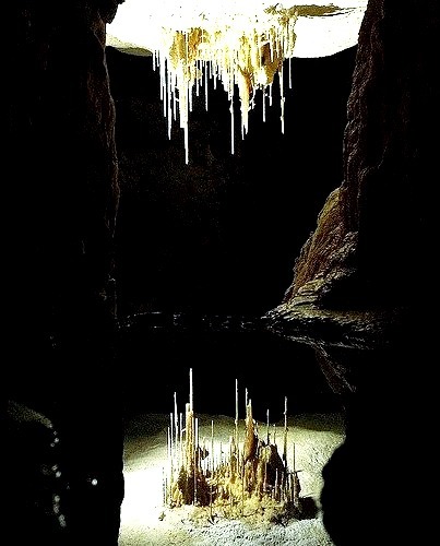 Stalactites reflected in a pool of water in Alexandra Cave, Naracoorte Caves National Park, South Australia