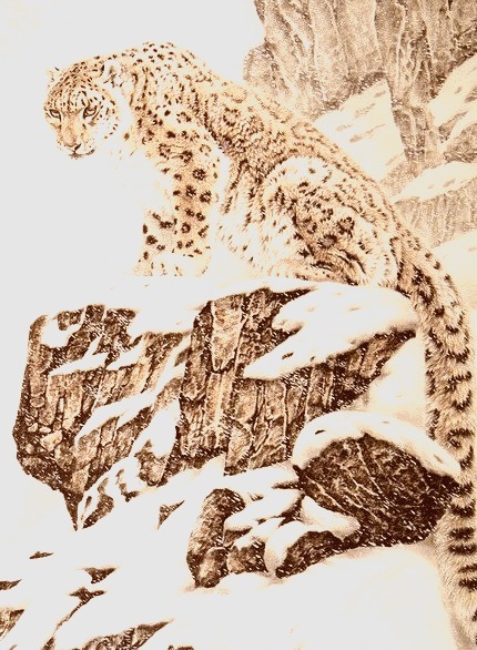 Snow Leopard, China