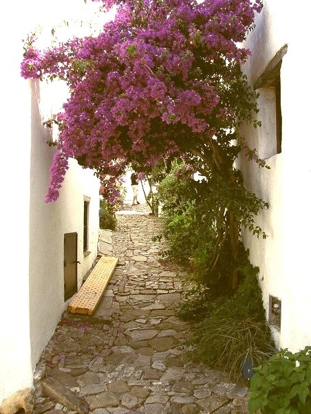 Charming narrow streets of Castellar de la Frontera in southern Spain