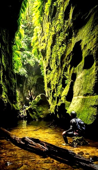 In another world, Claustral Canyon in the Blue Mountains / Australia